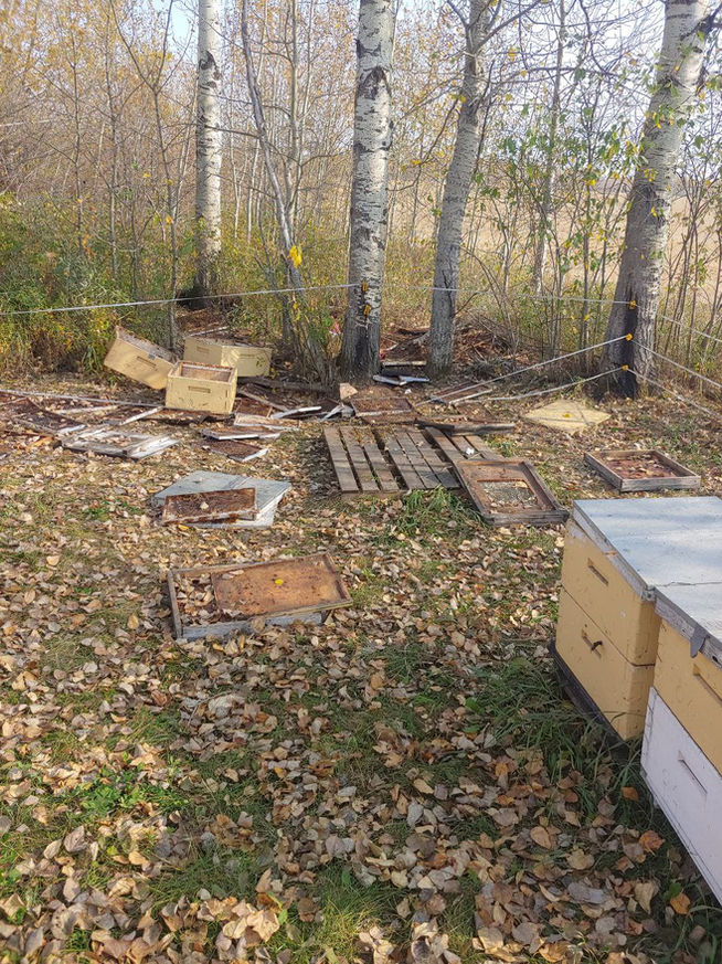 2021 Season photo 61